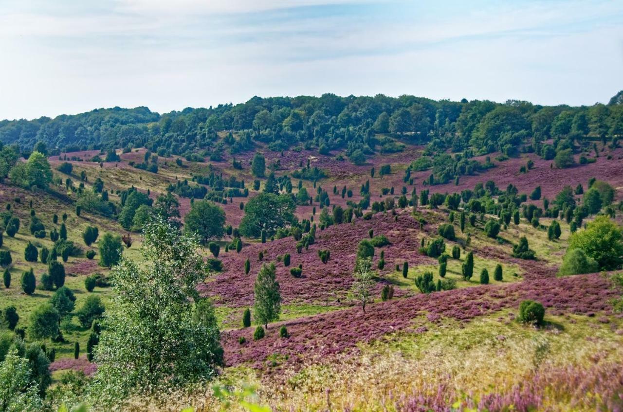 Ferienwohnungen Schaeferfeld ลือเนอบวร์ก ภายนอก รูปภาพ