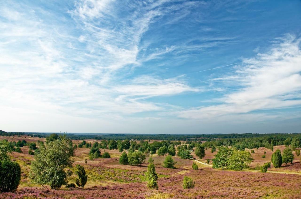 Ferienwohnungen Schaeferfeld ลือเนอบวร์ก ภายนอก รูปภาพ
